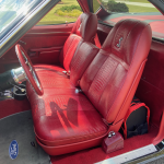red alligator skin leather